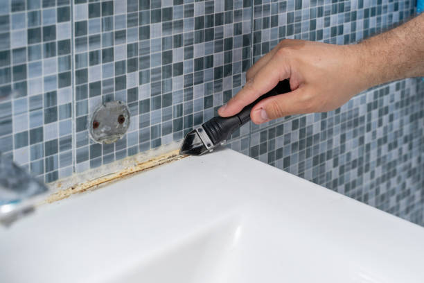 Best DIY Mold Remediation Support Services in Arp, TX