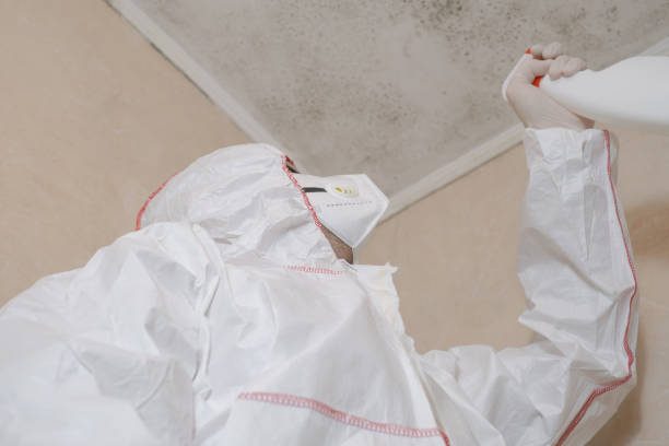 Best Industrial Mold Remediation in Arp, TX